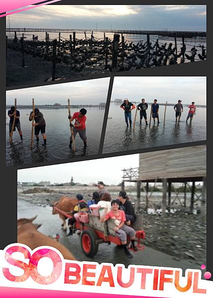pt2014_02_05_23_23_04 pt2014_02_05_23_23_04
