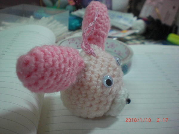 CIMG1449.JPG CIMG1449.JPG