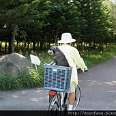 252698_3482996204032_1955036785_n 252698_3482996204032_1955036785_n