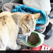 306826_3482988163831_1463860487_n 306826_3482988163831_1463860487_n