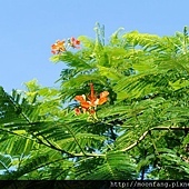 306776_3482992763946_1803314475_n 306776_3482992763946_1803314475_n