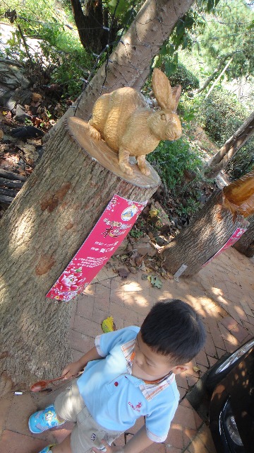 DSC05309.JPG