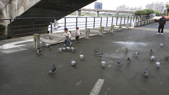 DSC07356.JPG DSC07356.JPG