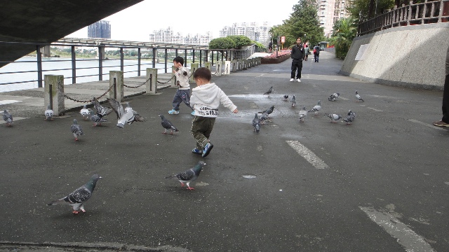 DSC07354.JPG DSC07354.JPG