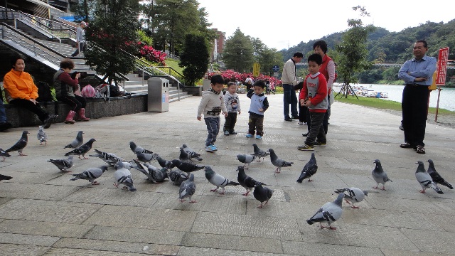 DSC07350.JPG DSC07350.JPG