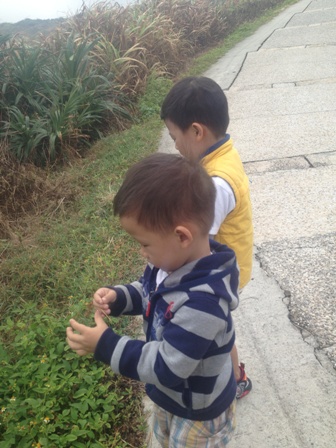 IMG_1253 - 複製 IMG_1253 - 複製