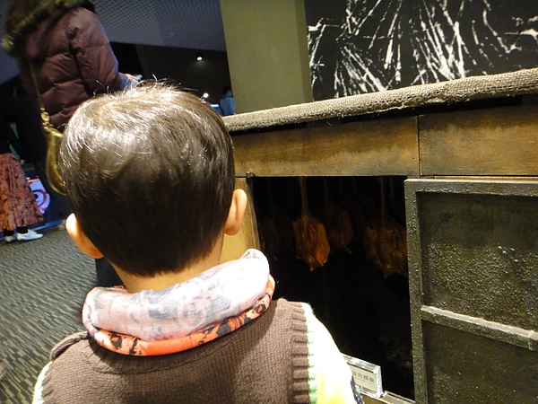 DSC00242.JPG DSC00242.JPG