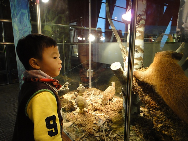 DSC00197.JPG DSC00197.JPG