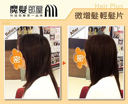 髮片 (2) 髮片 (2)