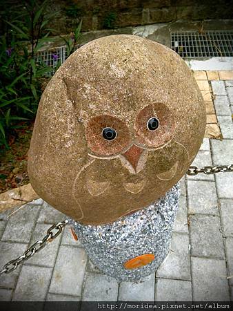 【旅。遊國內】放假去哪玩?台北-大溝溪親水公園 (3).jpg 【旅。遊國內】放假去哪玩?台北-大溝溪親水公園 (3).jpg