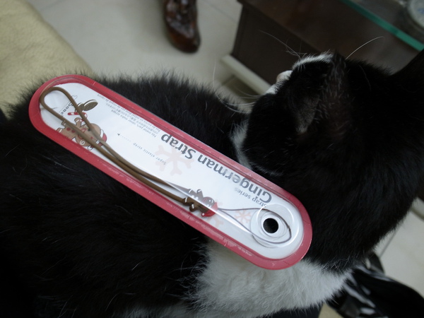 R0010740.JPG R0010740.JPG