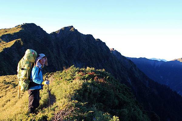 7-大羊-前 (Large)(高飛攝) 7-大羊-前 (Large)(高飛攝)