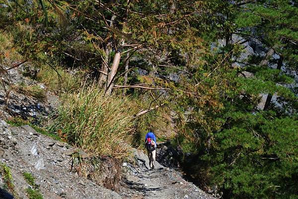 29下山路迢迢 (2) (Large)(大羊攝) 29下山路迢迢 (2) (Large)(大羊攝)