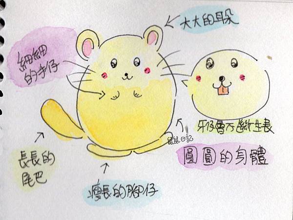 img336 copy.jpg img336 copy.jpg