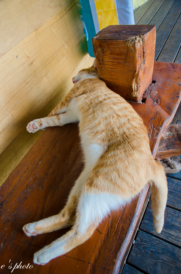 光復糖廠 光復糖廠