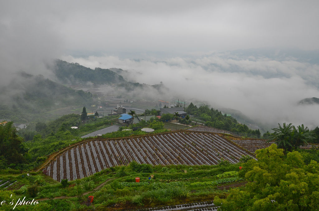 【旅遊景點】苗栗 自然風情 洗水坑豆腐 楓葉地圖民宿