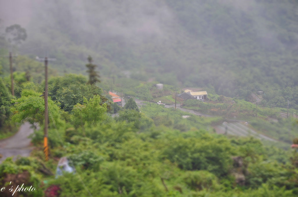 【旅遊景點】苗栗 自然風情 洗水坑豆腐 楓葉地圖民宿