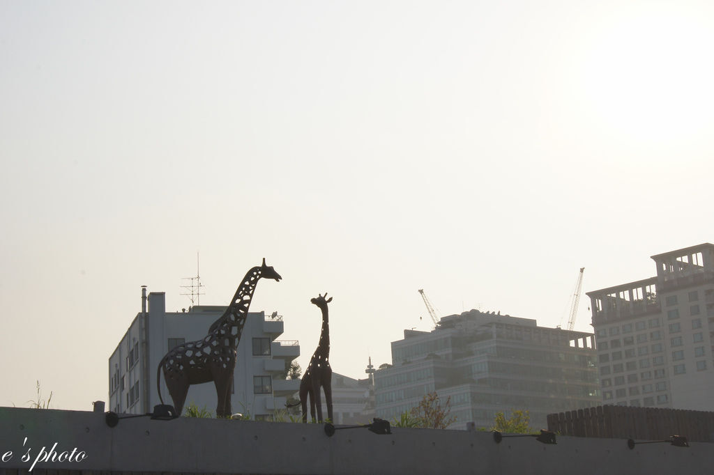 【國外自由行】首爾五天四夜 -D1