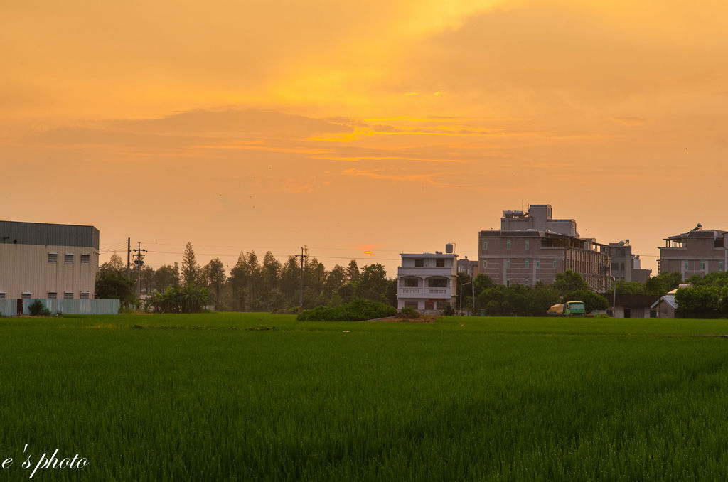 田間夕陽