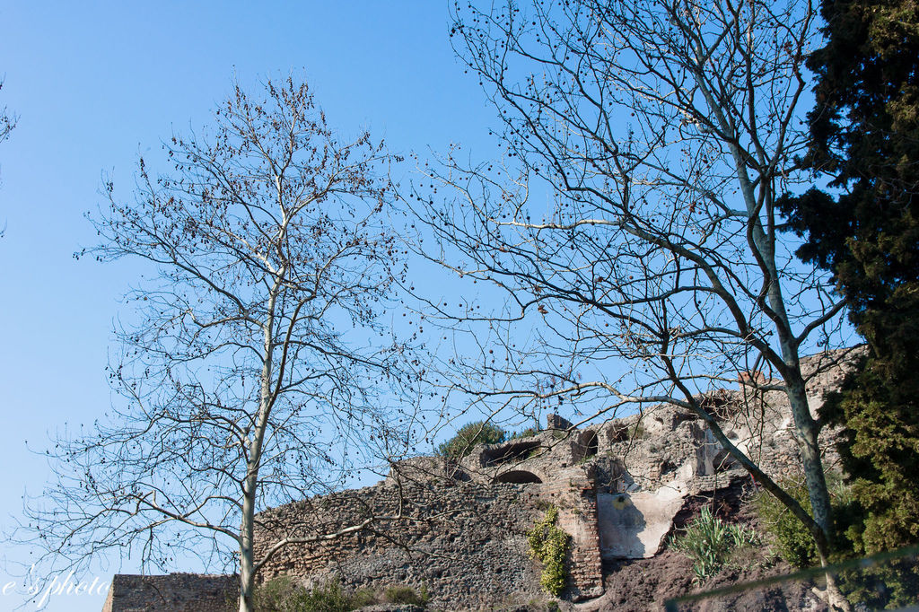 『蜜月旅行』加利利 義大利11日 龐貝古城(Pompei)(下)+阿瑪菲海岸 (Costiera Amalfitana)(上)