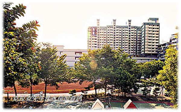 根2.jpg