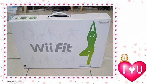 Wii Fit-01.jpg