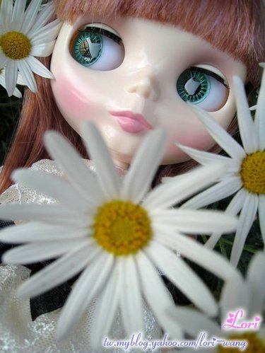 Blythe Veronica Lace 蕾絲01.jpg