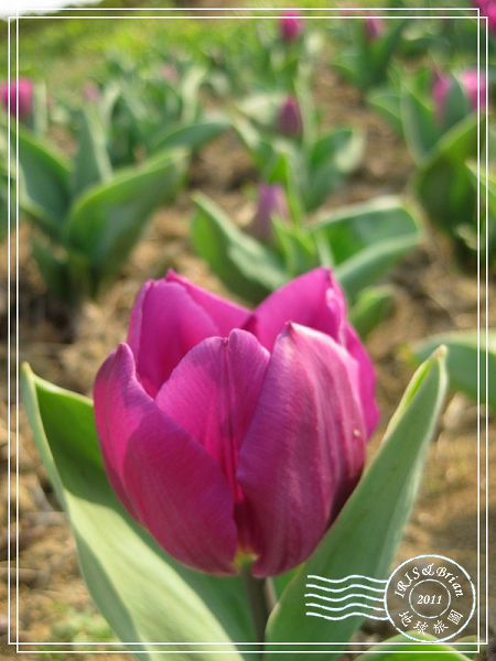 IMG_8836(001).jpg IMG_8836(001).jpg