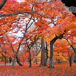 檢視相簿 檢視相簿