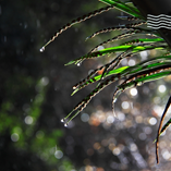 檢視相簿 檢視相簿