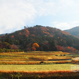檢視相簿 檢視相簿