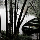 檢視相簿 檢視相簿