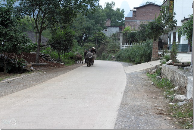 陽朔遇龍河045 陽朔遇龍河045