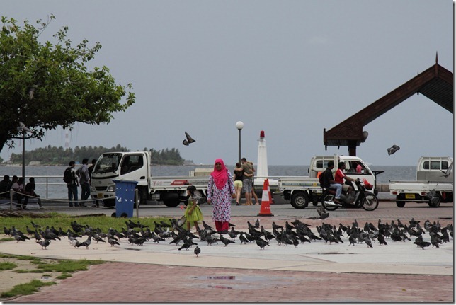 Maldives2012-1028-192633 Maldives2012-1028-192633