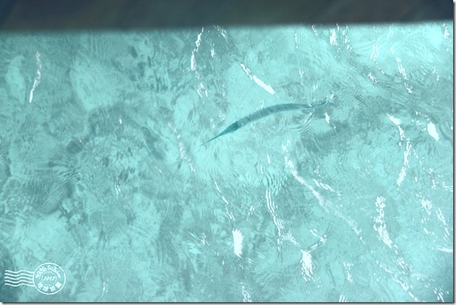 PhotoCap_040 PhotoCap_040