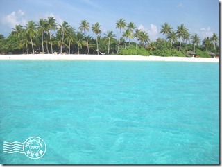 PhotoCap_327 PhotoCap_327