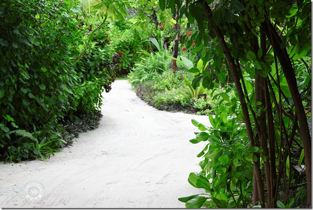 PhotoCap_032 PhotoCap_032