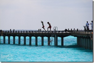 PhotoCap_308 PhotoCap_308