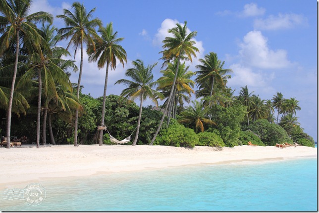 PhotoCap_305 PhotoCap_305