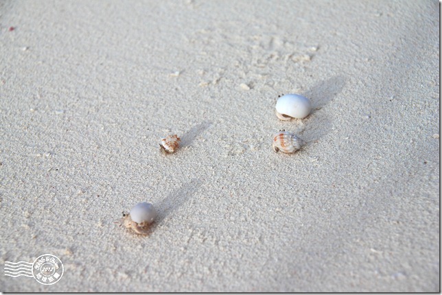 PhotoCap_052 PhotoCap_052