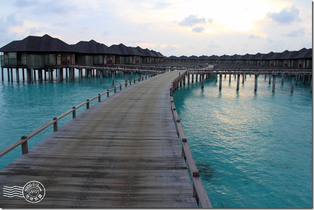 PhotoCap_213 PhotoCap_213