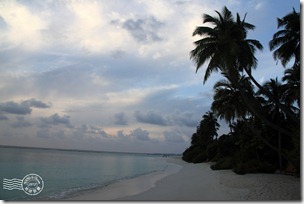 PhotoCap_216 PhotoCap_216