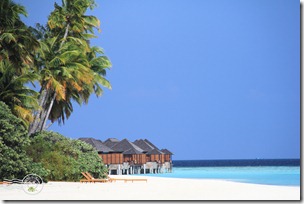 PhotoCap_264 PhotoCap_264