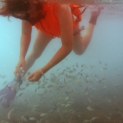 檢視相簿 檢視相簿