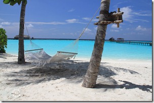 PhotoCap_289 PhotoCap_289