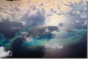 PhotoCap_388 PhotoCap_388