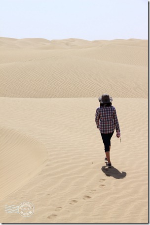 新疆上傳141 新疆上傳141