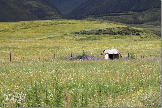 新疆上傳045 新疆上傳045