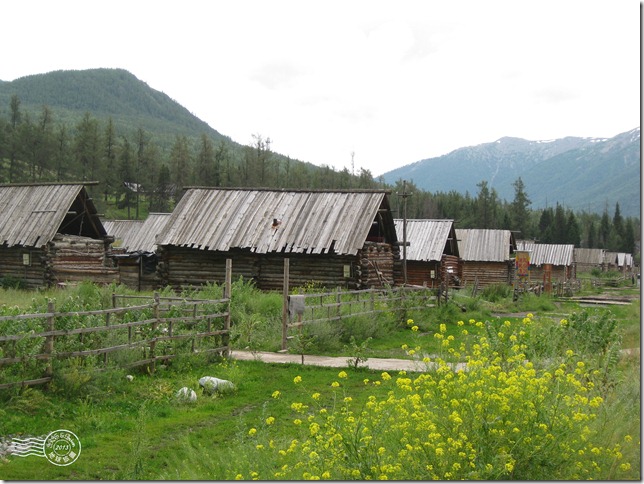 新疆上傳065 新疆上傳065