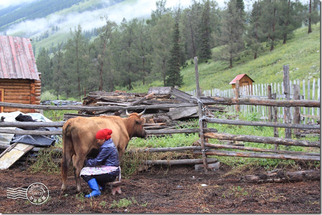 新疆上傳069 新疆上傳069